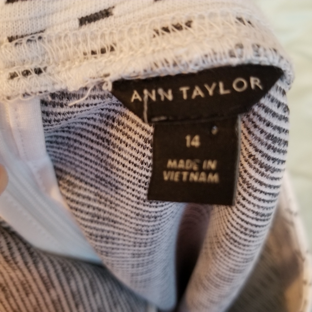 Ann Taylor Sleeveless Shift Dress - Picture 7 of 8